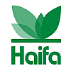 Haifa  Group