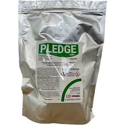 Pledge 50wp 5*80gr