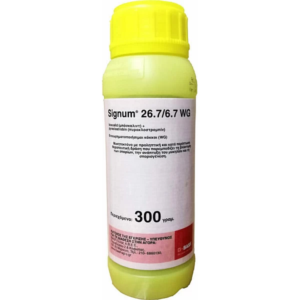 Signum 26,7/6,7wg 300gr