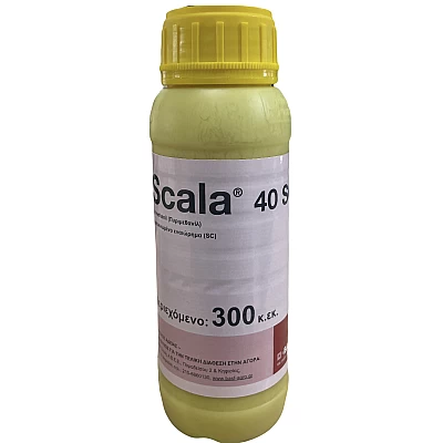Scala 40sc 300cc