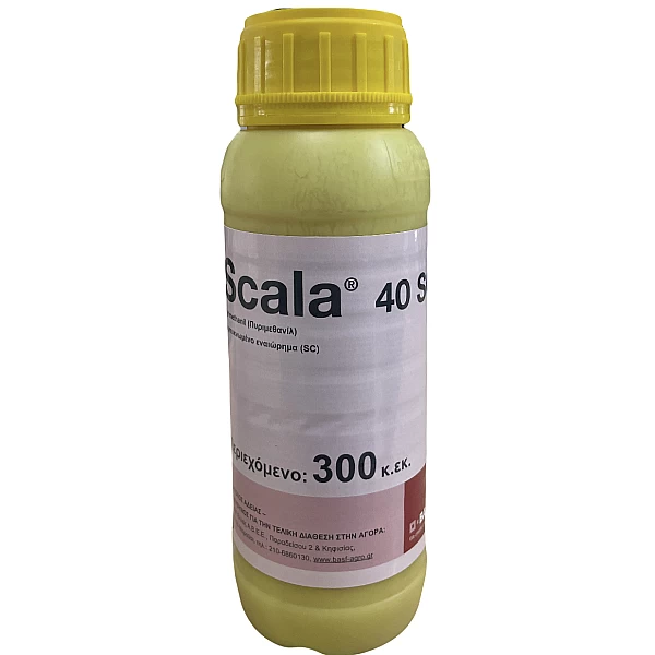Scala 40sc 300cc