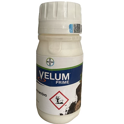Velum 250cc prime