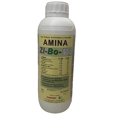 Amina - ZiBoMo