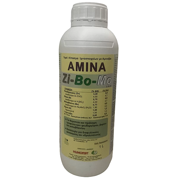 Amina - ZiBoMo