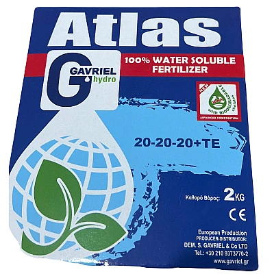 20-20-20 (2kg) atlas Gavriel 