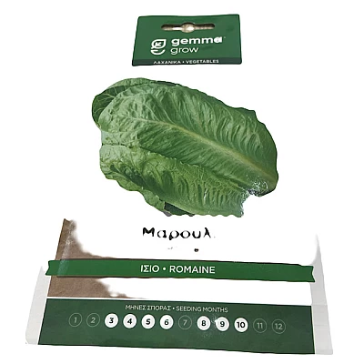 Σπόρος μαρούλι ίσιο lettuce μονοετές 