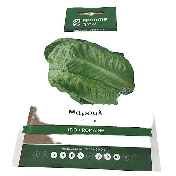 Σπόρος μαρούλι ίσιο lettuce μονοετές 