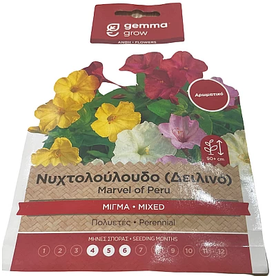 Σπόρος νυχτολούλουδο δειλινό πολυετές
