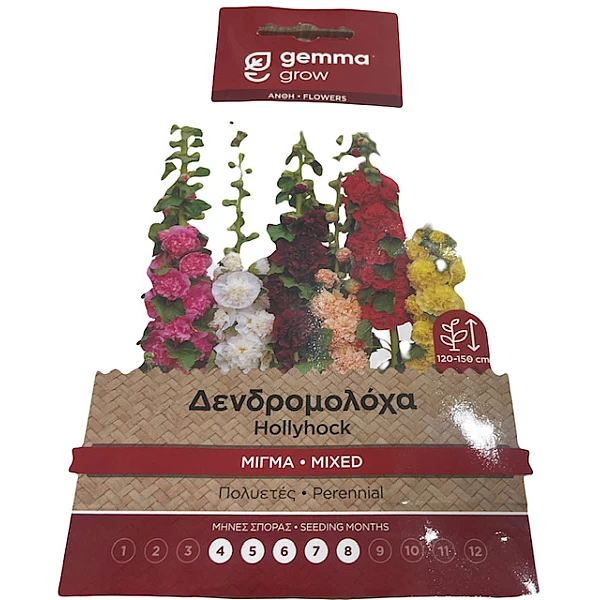 Σπόρος δεντρομολόχα hollyhock πολυετές 