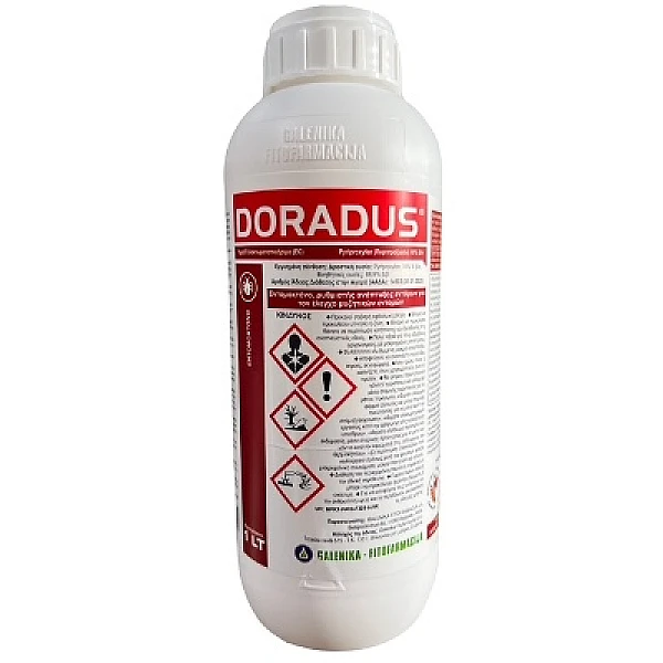 Doradus 10EC