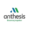 Anthesis