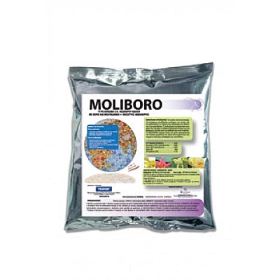 Moliborio 500gr