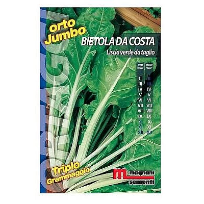 Σπόροι σέσκουλο 500gr (Liscia verde da taglio)
