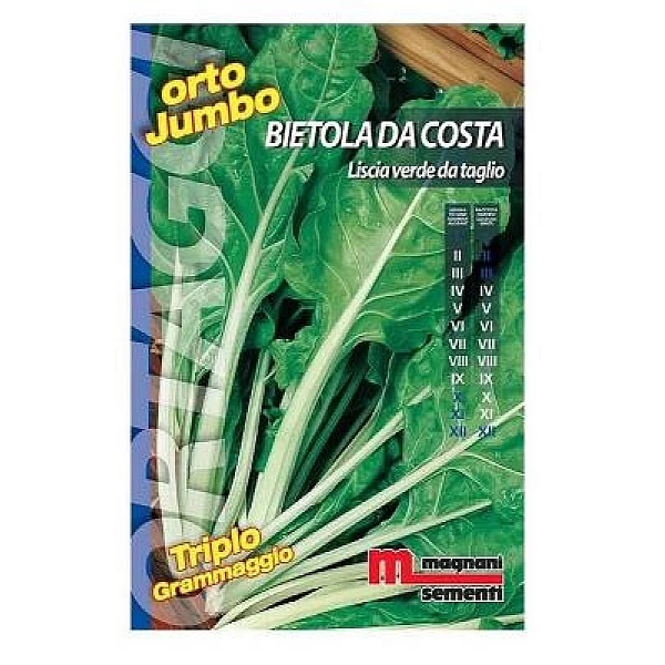 Σπόροι σέσκουλο 500gr (Liscia verde da taglio)