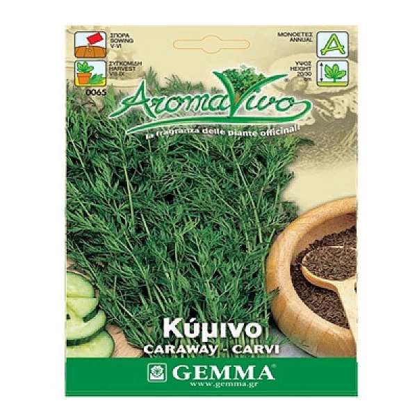 Σπόρος κύμινο σε φακελάκι