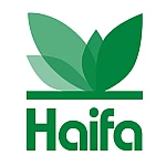 Haifa  Group