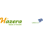 Hazera